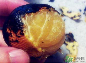 橘子烤著吃會(huì)上火嗎？烤橘子上火嗎？