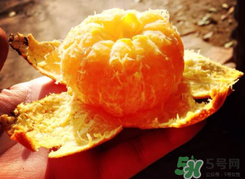 烤橘子可以用煤氣灶嗎？橘子用煤氣灶烤有毒嗎？