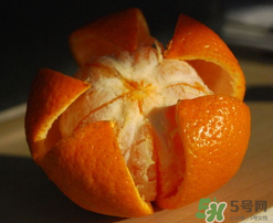橙子里面為什么有蟲子？橙子里面有蛆蟲的原因