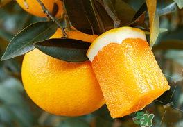 為什么橙子里面有個(gè)小橙子？橙子里面的小橙子能吃嗎？