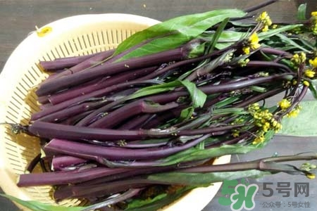 紅菜苔怎么保存？紅菜苔的存儲方法