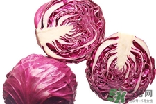 紫甘藍(lán)是轉(zhuǎn)基因食品嗎？紫甘藍(lán)是轉(zhuǎn)基因蔬菜嗎？