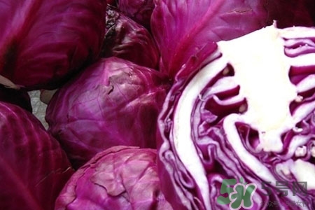 紫甘藍(lán)是轉(zhuǎn)基因食品嗎？紫甘藍(lán)是轉(zhuǎn)基因蔬菜嗎？