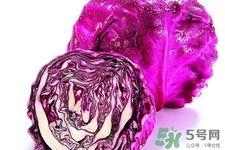 涼拌紫甘藍(lán)用焯水嗎？紫甘藍(lán)涼拌需要焯水嗎？