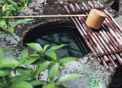 井華水是什么？井華水的含義