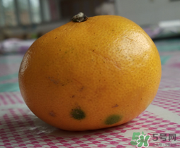 橘子皮發(fā)霉可以吃嗎？吃了發(fā)霉的橘子怎么辦？