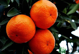 橘子皮發(fā)霉可以吃嗎？吃了發(fā)霉的橘子怎么辦？