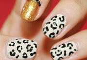 豹紋美甲圖片2017 豹紋美甲怎么畫(huà)