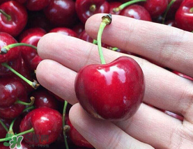 車?yán)遄釉趺幢４婧茫寇嚴(yán)遄釉趺幢ｕr？