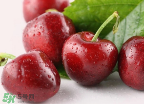 為什么吃車(chē)?yán)遄訒?huì)拉肚子？吃車(chē)?yán)遄永亲釉趺崔k？