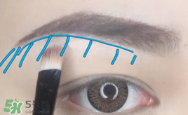 混血眼妝的畫法 藍色混血眼妝教程
