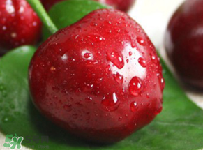 車?yán)遄觾鰤牧四艹詥?？車?yán)遄觾隽嗽趺崔k？