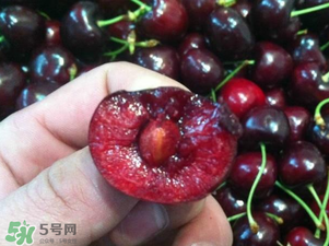 車?yán)遄恿验_能吃嗎？車?yán)遄訛槭裁磿验_？