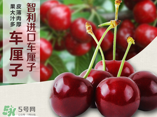 車?yán)遄恿验_能吃嗎？車?yán)遄訛槭裁磿验_？