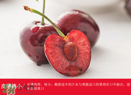 車厘子哪里產(chǎn)的最好？車厘子產(chǎn)地在哪里？