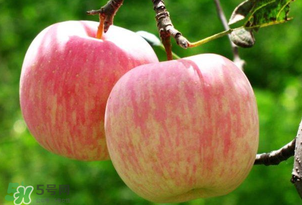 蘋果裂口怎么回事？蘋果裂口能不能吃？