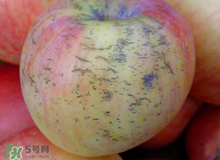 蘋果裂紋能吃嗎？蘋果裂紋是怎么回事？