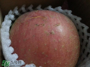 蘋果裂紋能吃嗎？蘋果裂紋是怎么回事？