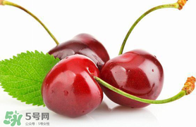 車?yán)遄涌梢詭巷w機(jī)嗎？車?yán)遄幽軒巷w機(jī)嗎？