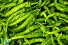 尖椒的營(yíng)養(yǎng)價(jià)值 尖椒的功效與作用 尖椒的營(yíng)養(yǎng)價(jià)值 尖椒的功效與作用