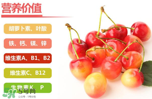 金色車(chē)?yán)遄雍贸詥幔?金車(chē)?yán)遄雍秃谲?chē)?yán)遄拥膮^(qū)別