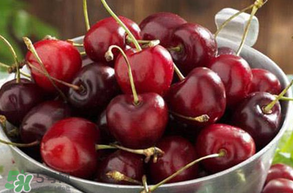 車厘子是熱性還是涼性？車厘子是熱性嗎？