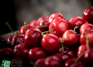 車厘子什么季節(jié)吃？車厘子是什么季節(jié)的水果？