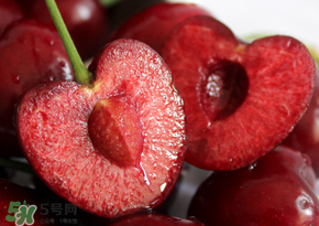 車?yán)遄邮遣皇寝D(zhuǎn)基因水果？車?yán)遄邮寝D(zhuǎn)基因嗎？