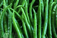 尖椒怎么太辣怎么辦？尖椒怎么炒不辣？