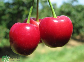 車?yán)遄雍臀r能一起吃嗎？吃完車?yán)遄涌梢猿晕r嗎？