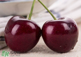 車?yán)遄邮裁磿r(shí)候吃最好？車?yán)遄右惶焓裁磿r(shí)候吃營(yíng)養(yǎng)吸收最好？