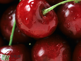 車?yán)遄邮裁磿r(shí)候吃最好？車?yán)遄右惶焓裁磿r(shí)候吃營(yíng)養(yǎng)吸收最好？