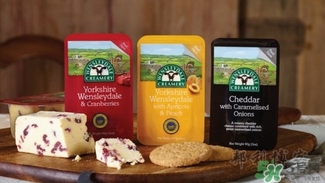 奶酪什么牌子好_奶酪品牌排行榜 奶酪什么牌子好_奶酪品牌排行榜