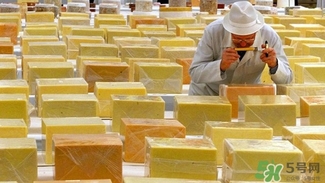 奶酪什么牌子好_奶酪品牌排行榜 奶酪什么牌子好_奶酪品牌排行榜