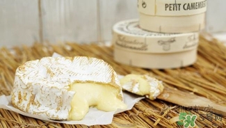 奶酪什么牌子好_奶酪品牌排行榜 奶酪什么牌子好_奶酪品牌排行榜