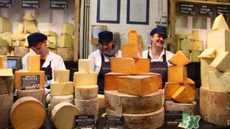 奶酪什么牌子好_奶酪品牌排行榜 奶酪什么牌子好_奶酪品牌排行榜