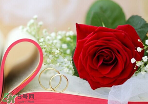 情人節(jié)送什么顏色的玫瑰花好？情人節(jié)送幾朵玫瑰花好？