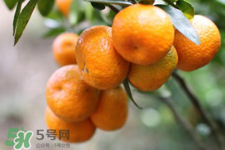 糖尿病能吃沙糖桔嗎？糖尿病可以吃沙糖桔嗎？