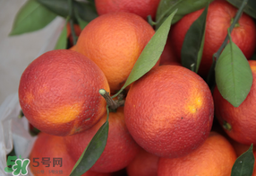 血橙多少錢(qián)一斤？四川血橙多少錢(qián)一斤？