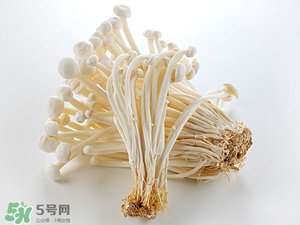 金針菇發(fā)黃還能吃嗎 金針菇變黃能吃嗎 金針菇發(fā)黃還能吃嗎 金針菇變黃能吃嗎