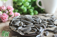 冬天吃瓜子上火怎么辦？冬天瓜子吃多了上火怎么辦？