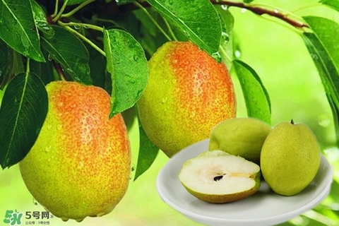 來(lái)月經(jīng)可以吃香梨嗎？月經(jīng)期間可以吃香梨嗎？