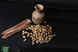 什么人不能吃鐵皮石斛,鐵皮石斛不適合人群 什么人不能吃鐵皮石斛,鐵皮石斛不適合人群