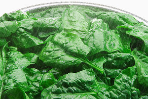 尿酸高不能吃什么蔬菜_尿酸高什么蔬菜不能吃 尿酸高不能吃什么蔬菜_尿酸高什么蔬菜不能吃