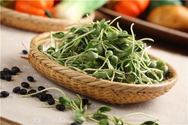 尿酸高不能吃什么蔬菜_尿酸高什么蔬菜不能吃 尿酸高不能吃什么蔬菜_尿酸高什么蔬菜不能吃