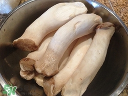 杏鮑菇可以和雞蛋一起吃嗎?怎么做杏鮑菇炒雞蛋 杏鮑菇可以和雞蛋一起吃嗎?怎么做杏鮑菇炒雞蛋