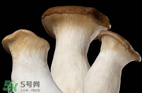 杏鮑菇可以和雞蛋一起吃嗎?怎么做杏鮑菇炒雞蛋 杏鮑菇可以和雞蛋一起吃嗎?怎么做杏鮑菇炒雞蛋