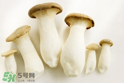 杏鮑菇可以和雞蛋一起吃嗎?怎么做杏鮑菇炒雞蛋 杏鮑菇可以和雞蛋一起吃嗎?怎么做杏鮑菇炒雞蛋