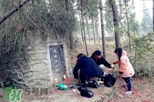 正月可以掃墓嗎？正月能不能上墳？