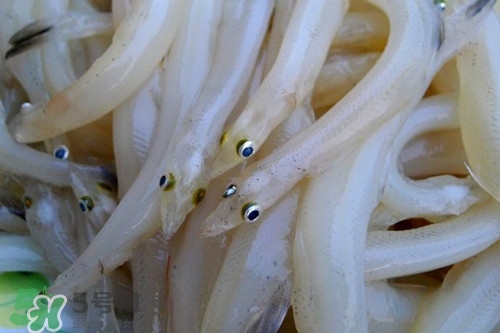 銀魚不能和什么一起吃?吃銀魚禁忌 銀魚不能和什么一起吃?吃銀魚禁忌